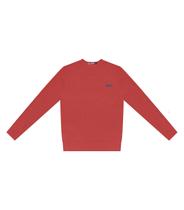 Blusão Juvenil Menino Minty Marrom