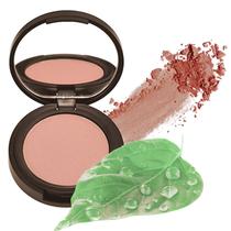 Blush Fifth & Skin Better'n Ur Cheeks Dusty Rose Mineral