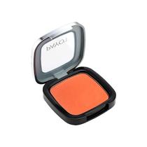 BLUSH RETINOL COR TERRACOTA PAYOT 6g