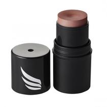 Blush Sport Make Up All Inone Pink Cheeks 4,5G Terracota