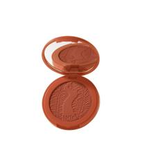 Blush tarte Amazonian Clay 12 horas de canela encantada