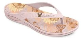 Boa onda lilly borboleta Boa onda lilly borboleta