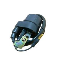 Bobina De Ignição Pop100