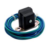 Bobina de Pulso Mirage 250 EFi (10-13) Wortech