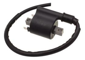 Bobina Ignicao Condor 12v Cg 125 2009/