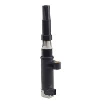 Bobina Ignição Renault Clio 2004 a 2020 - 805143 - EBI9009 Bobina Ignição Renault Clio 2004 a 2020 - 805143 - EBI9009