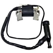 Bobina Modulo De Ignição Motor Gasolina 8hp 9hp 13hp 15hp