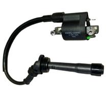 Bobina Módulo Ignição Moto Flash 250F Shineray Original