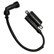 Bobina Modulo Ignição Moto Free 2024... Shineray Original Bobina Modulo Ignição Moto Free 2024... Shineray Original