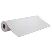 Bobina plotter 610x50 mts 75 grs silfer