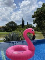 Boia de Flamingo Rosa Para Piscinas / Muita Performance