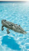 Boia Inflável Crocodilo Gigante 170x86cm 1 Unidade Boia Inflável Crocodilo Gigante 170x86cm 1 Unidade