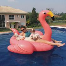 Boia Inflavel Flamingo Gigante Swimline