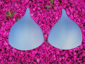 Bojo Curtinão em e.v.a tamanho - 48 CX