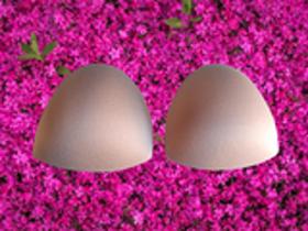 Bojo removivel de espuma chocolate tamanho - 14 CX