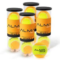 Bola Beach Tennis Profissionis Kit 12 Unidades Alma Geius
