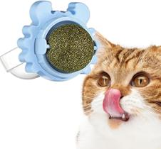 Bola Brinquedo para Gatos Petisco de Menta Pet Shop Diversão Lazer Bolinha Interativo Natural Animal de Estimação