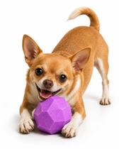Bola Brinquedo Pet Cachorro Rocky Ball 40 Mm Roxo Neon Bola Brinquedo Pet Cachorro Rocky Ball 40 Mm Roxo Neon