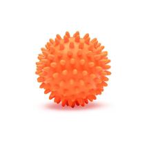 Bola Cravo para Cães - Cores Sortidas Bola Cravo para Cães - Cores Sortidas