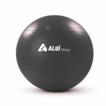 Bola de Exercícios Pilates Yoga Gym 55cm Aluí Fitness Bomba Manual Encher