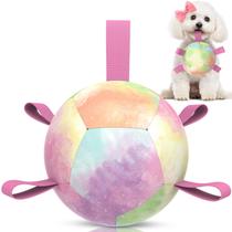 Bola de futebol QDAN de brinquedo para cães com alças para cães pequenos de 5 polegadas Bola de futebol QDAN de brinquedo para cães com alças para cães pequenos de 5 polegadas