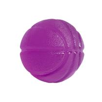 Bola de Gel Fisio Ball 6Cm Roxo R18 Acte Sports