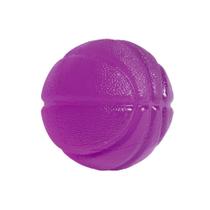 Bola de Gel Fisio Ball 6Cm Roxo R18 Acte Sports