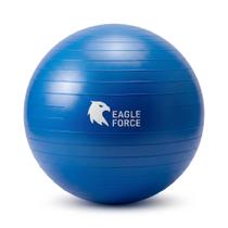 Bola de Ginástica Suíça Yoga Pilates 55/65cm com Tecnologia AntiEstouro Eagle Force