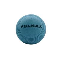 Bola de Iniciação N 10 Pulmax