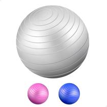 Bola De Pilates Suíça 55 Cm Fisioterapia Yoga Academia - NA WEB