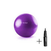 Bola Exercícios Pilates Fisioterapia 65Cm Hidrolight C Bomba