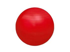 Bola fisioball 55cm (vermelho) fg20 ortho pauher Bola fisioball 55cm (vermelho) fg20 ortho pauher