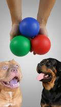 Bola Grande Pet Borracha Resistente 10cm 3 Unid Bola Grande Pet Borracha Resistente 10cm 3 Unid