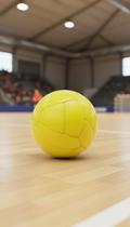 Bola Handebol Profissional Costurada 54-56cm Amarela