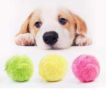 Bola mágica pra pets