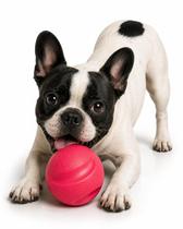 Bola Mordedora Brinquedo Pet Cães Slim Ball 40Mm Pink Neon Bola Mordedora Brinquedo Pet Cães Slim Ball 40Mm Pink Neon