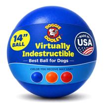 Bola para Cachorro Doggie Dooley 36 cm Plástico Rígido Flutuante Azul Bola para Cachorro Doggie Dooley 36 cm Plástico Rígido Flutuante Azul
