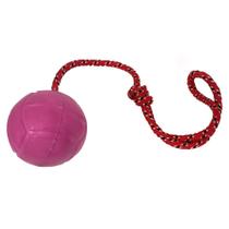 Bola para morder pet shop cão cachorro resistente 55mm Rosa