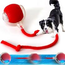 Bola Pet Inteligente Giratória Recarregável Usb Brinquedo - Importada Bola Pet Inteligente Giratória Recarregável Usb Brinquedo - Importada