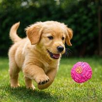Bola Pets Petisco Osso Petisco Brinquedo Cachorro Gato Coleira Guia Adestra Ração Pote Mordedores Bola Pets Petisco Osso Petisco Brinquedo Cachorro Gato Coleira Guia Adestra Ração Pote Mordedores