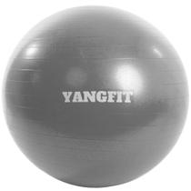 Bola Pilates Suíça Exercícios Yoga 65cm Com Bomba Yangfit