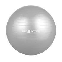 Bola Suíça Ginástica 65cm - Pilates Yoga Com Bomba - Pro Action Cinza G125