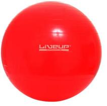 Bola Suiça para Exercicios Pilates Yoga 45cm Bola Suiça para Exercicios Pilates Yoga 45cm
