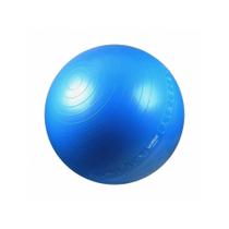 Bola Suiça Pilates Com Ilustrações Exercícios 65cm Liveup - Liveup Sports