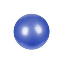 Bola Suiça Pilates Yoga Abdominal Ball 65cm Com Bomba MBFit