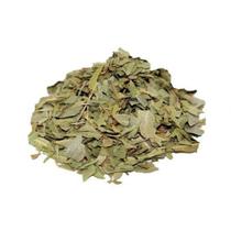 Boldo do Chile - 50g