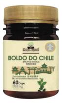 Boldo Do Chile - Folhas E Raízes