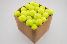 Bolinha de Tênis para Cachorros - Recicladas - Lote c/ 60un. - Dream Tennis