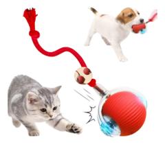 Bolinha Giratória Automática Brinquedos Pet Gato Cachorro