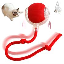 Bolinha Giratoria Automatica Interativa Pet Gato Cachorro